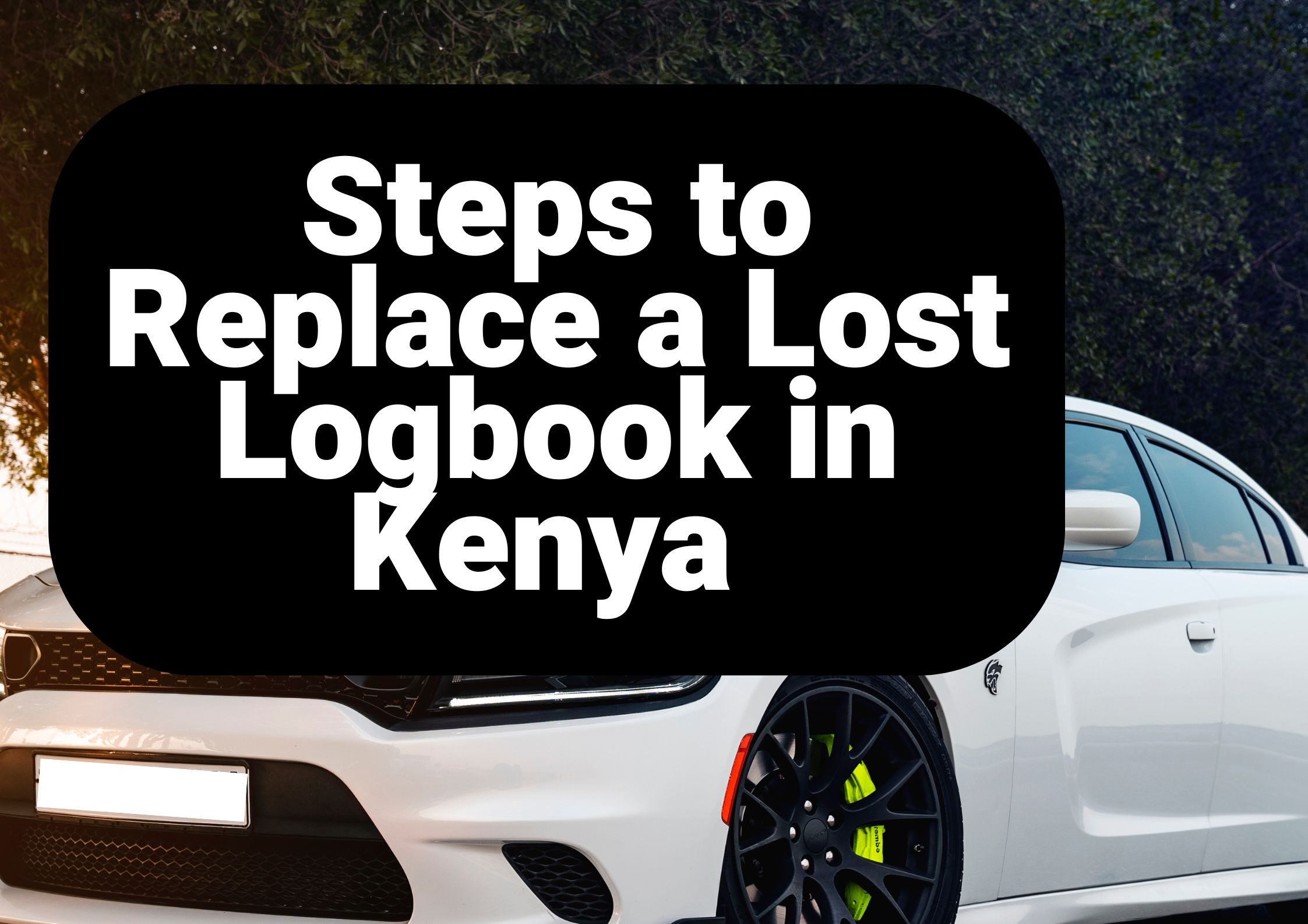 Steps to Replace a Lost Logbook in Kenya